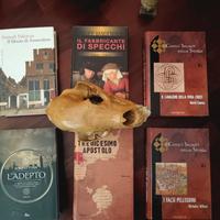 Lotto libri gialli mistery thriller storici 