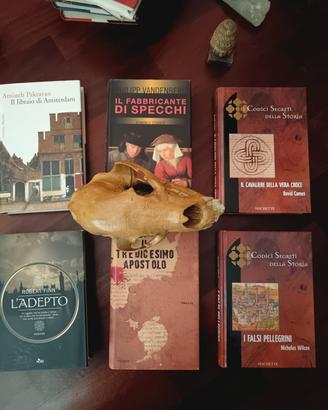 Lotto libri gialli mistery thriller storici 