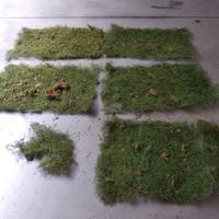 Tappeti di erba sintetica per presepe