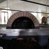 Forno a legna per pizza professionale