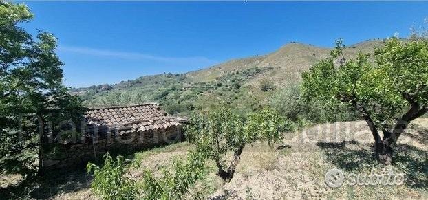 Terreno 10.000mq con rustici a Calatabiano - Vista 4