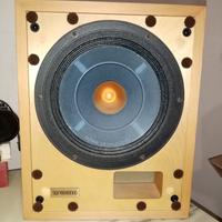 Diffusori lettore cd