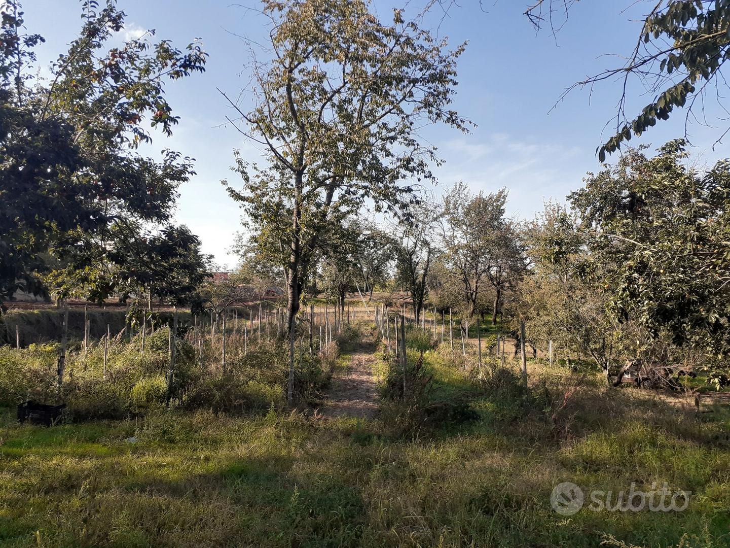 Terreno agricolo - Vista 4
