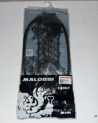 Cinghia nuova malossi X K Belt per over range