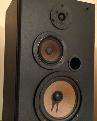 Casse Acustiche 100W