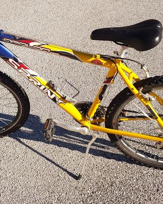 bicicletta MBT 