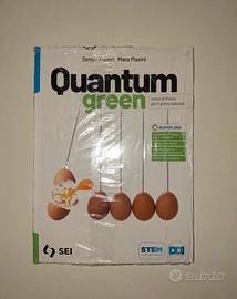 libro fisica "quantum green"