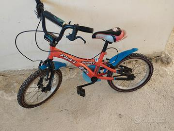 bicicletta 