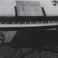 Pianoforte digitale casio