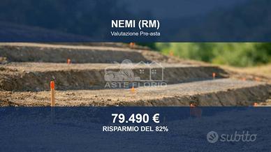 Immobile in asta di 14839 m² a Nemi