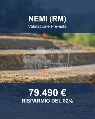 Immobile in asta di 14839 m² a Nemi