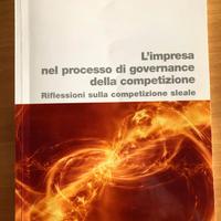 L'impresa nel processo di governance competizione