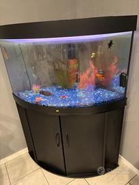 Acquario JUWEL 200 lt.