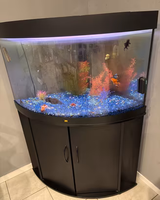 Acquario JUWEL 200 lt.
