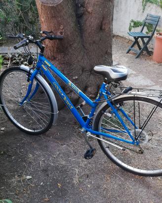 Bicicletta