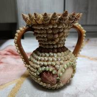 Vaso con conchiglie 