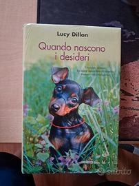 Lucy Dillon - Quando nascono i desideri 