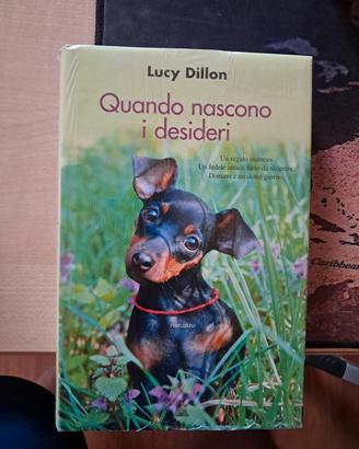 Lucy Dillon - Quando nascono i desideri 