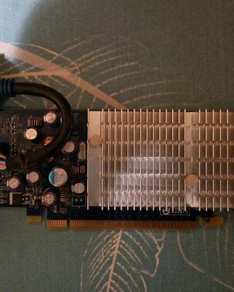 Scheda grafica GeForce 6200 256MB fanless