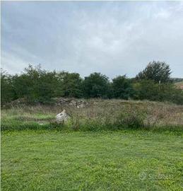 RGE 103/2021 - Tribunale di Urbino - Lotto 1