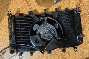 Radiatore con bulbo e ventola Kawasaki z1000