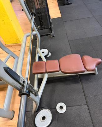Panca piana technogym