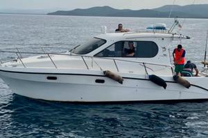 Barca Intermare 800 anno 96 , motori Vm 220 cv