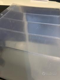 Fogli collezionismo Bolaffi