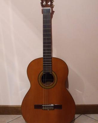 Chitarra classica, custodia e accessori
