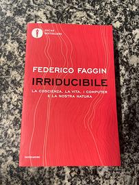 Faggin - Irriducibile