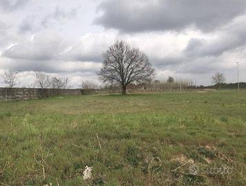 Immobile in asta di 10300 m² a Canneto sull'Oglio