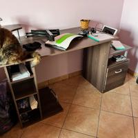 Scrivania  PC con cassetto