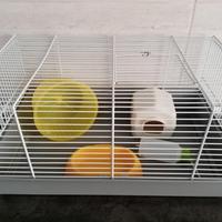 Gabbietta con accessori e nido morbido