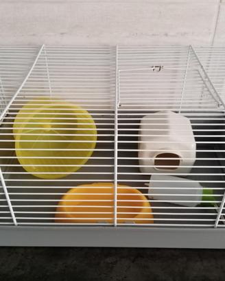 Gabbietta con accessori e nido morbido