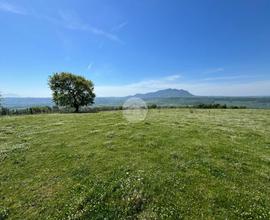 TER. AGRICOLO A COLLEVECCHIO