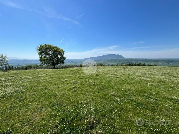 TER. AGRICOLO A COLLEVECCHIO