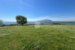 TER. AGRICOLO A COLLEVECCHIO