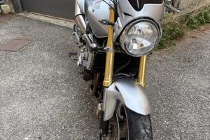Hornet 600