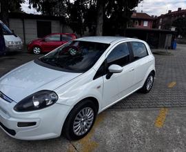Fiat Punto Evo 1.3 Mjt 75 CV 5 porte neopatentato