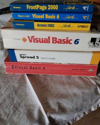 Manuali di informatica (visual basic e c.)