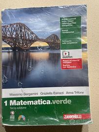 Libro matematica verde