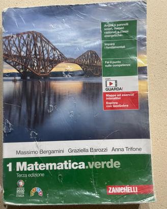 Libro matematica verde