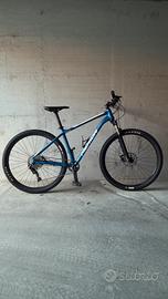 Bici mountain bike
