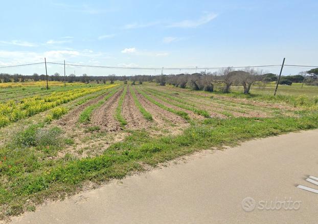 Lotto di terreno agricolo in Frigole