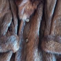pellicce 