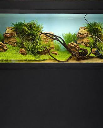 Acquario marino/dolce 120.55.40 con sump