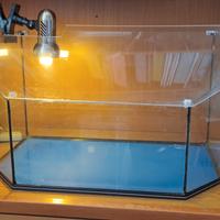 vasca per tartarughe