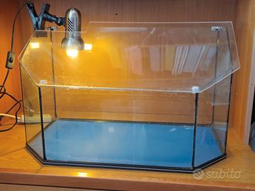 vasca per tartarughe