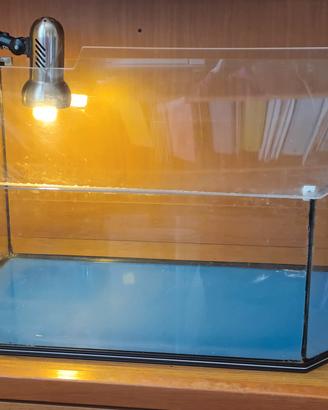 vasca per tartarughe