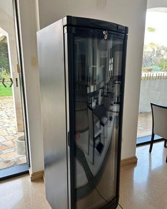 Cantinetta vini professionale vetro + legno
